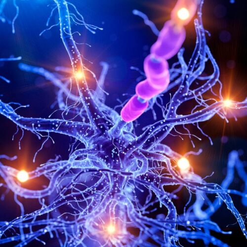 Visite neurologiche e neurochirurgiche