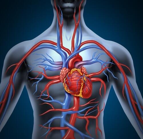 CORSO DI AGGIORNAMENTO 2025 ”VASCULAR DAY”
