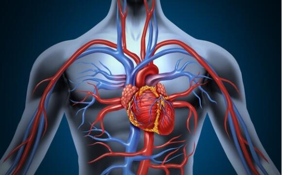 CORSO DI AGGIORNAMENTO 2025 ”VASCULAR DAY”